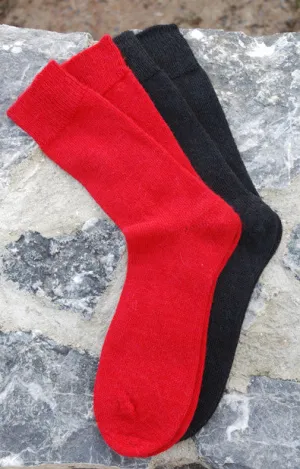 Alpaca Everyday Socks