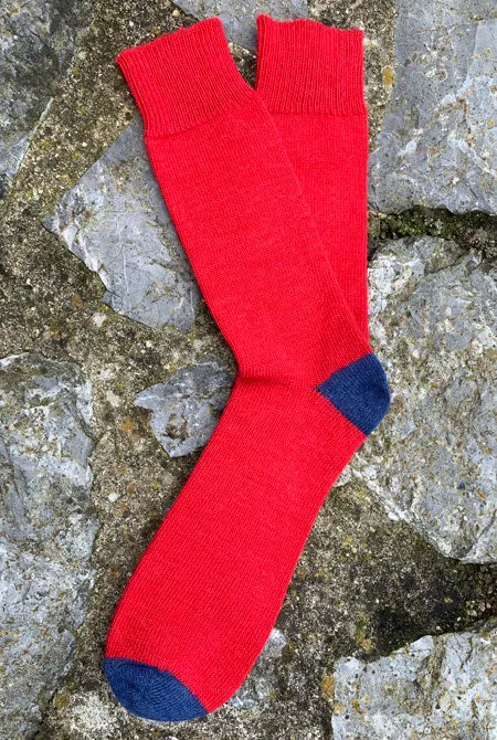 Alpaca Everyday Socks
