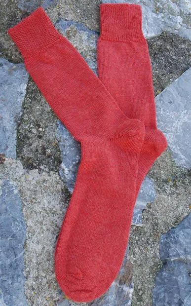 Alpaca Everyday Socks