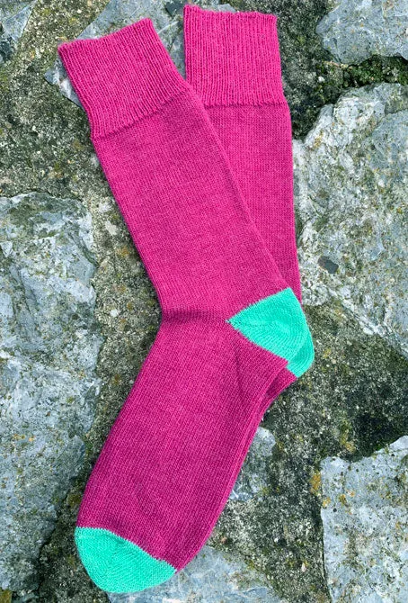 Alpaca Everyday Socks