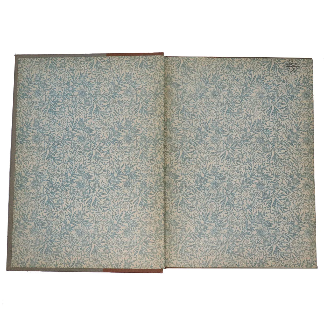 Book: Thoughts and Fancies, Poems and Pictures of Life and Nature by Mary D. Brine