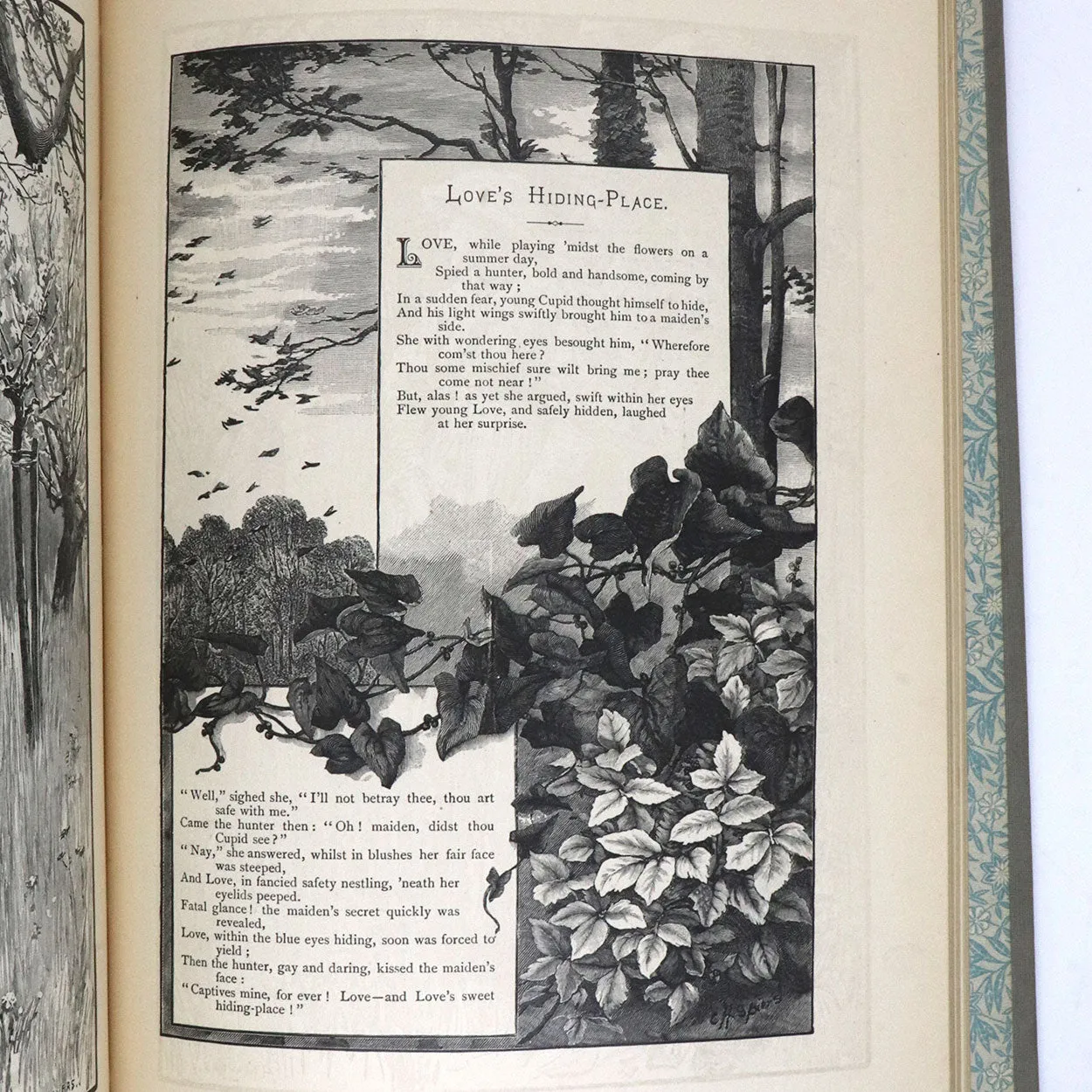 Book: Thoughts and Fancies, Poems and Pictures of Life and Nature by Mary D. Brine