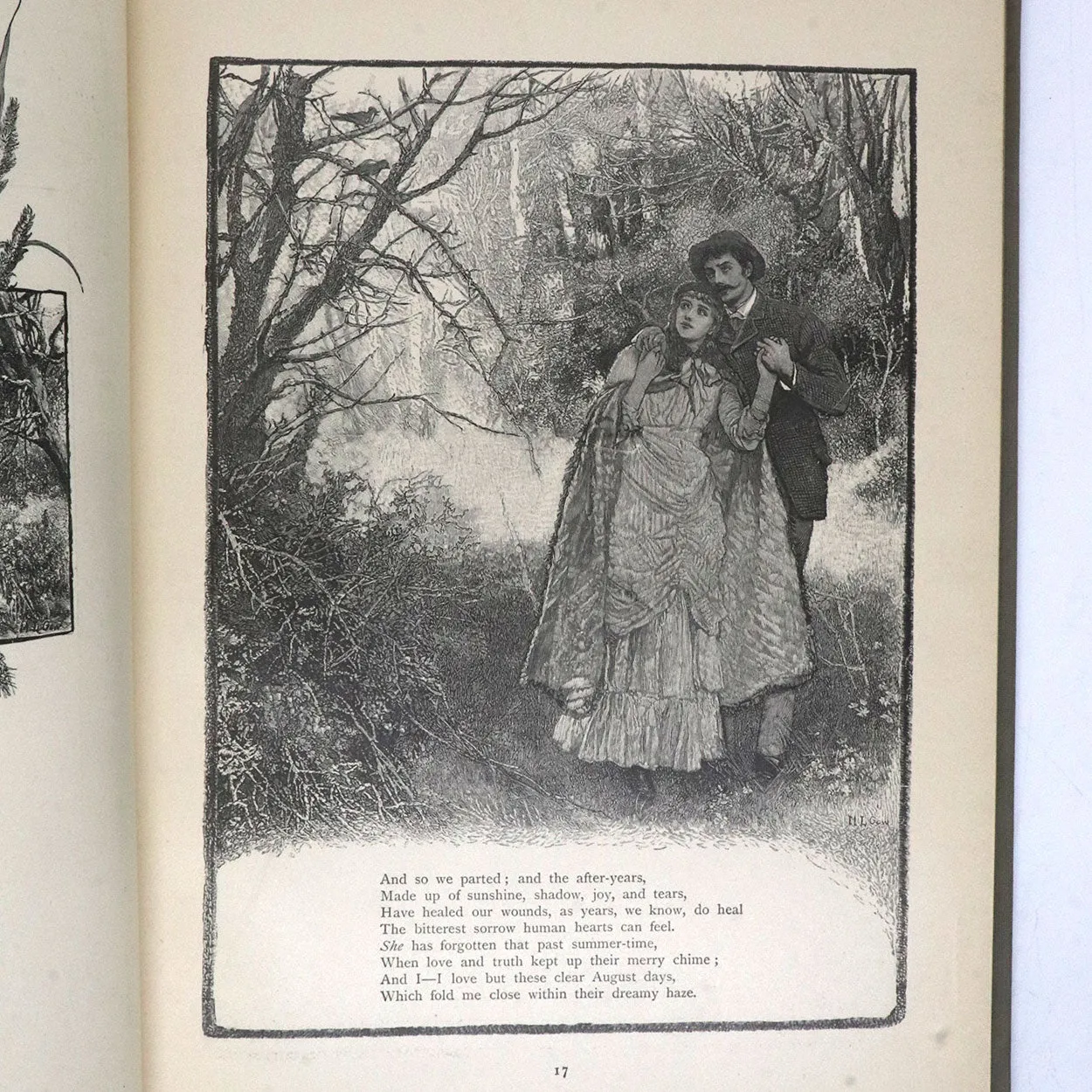 Book: Thoughts and Fancies, Poems and Pictures of Life and Nature by Mary D. Brine