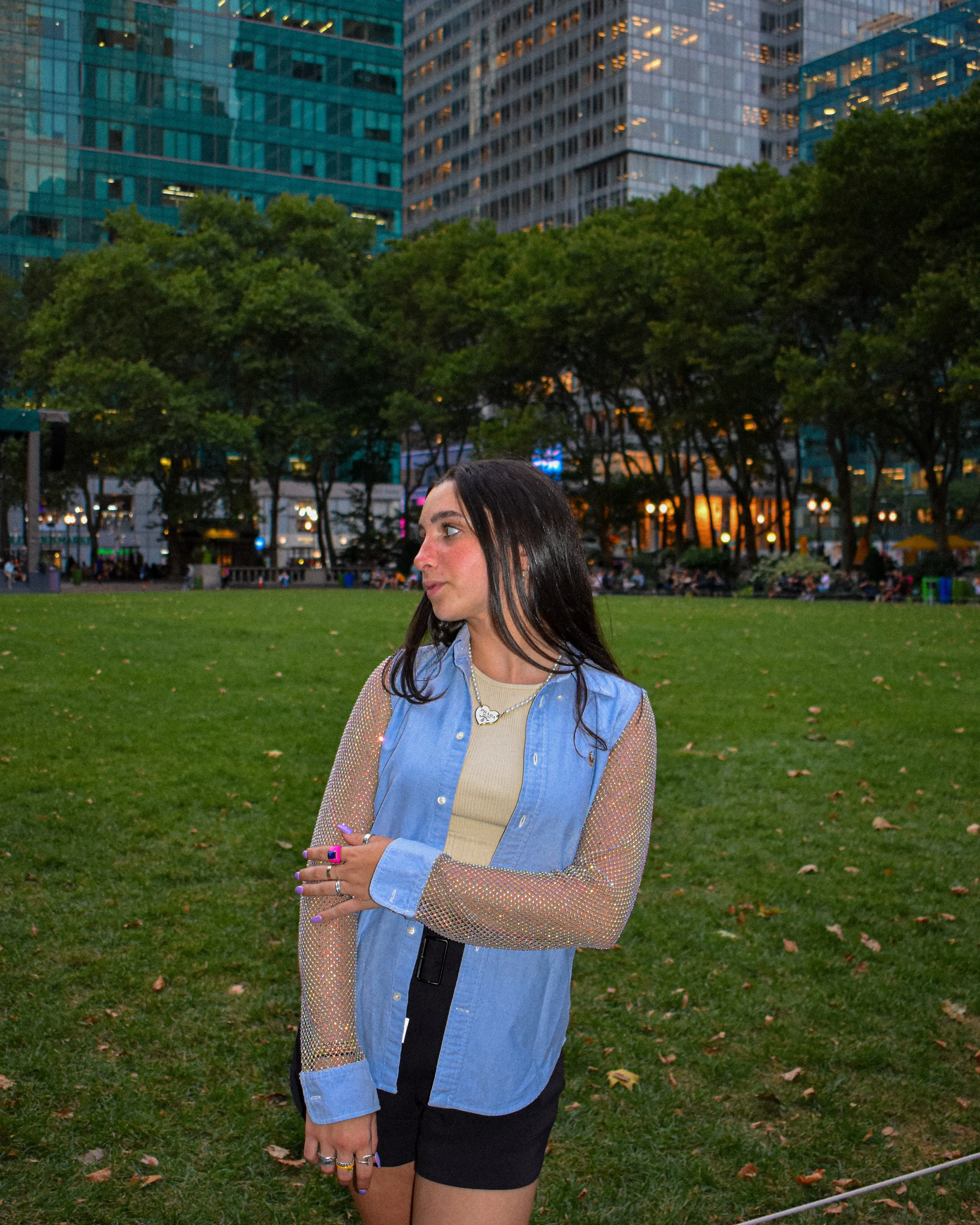 Chambray Ami