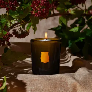 Cire Trudon Gabriel La Petite Bougie Candle