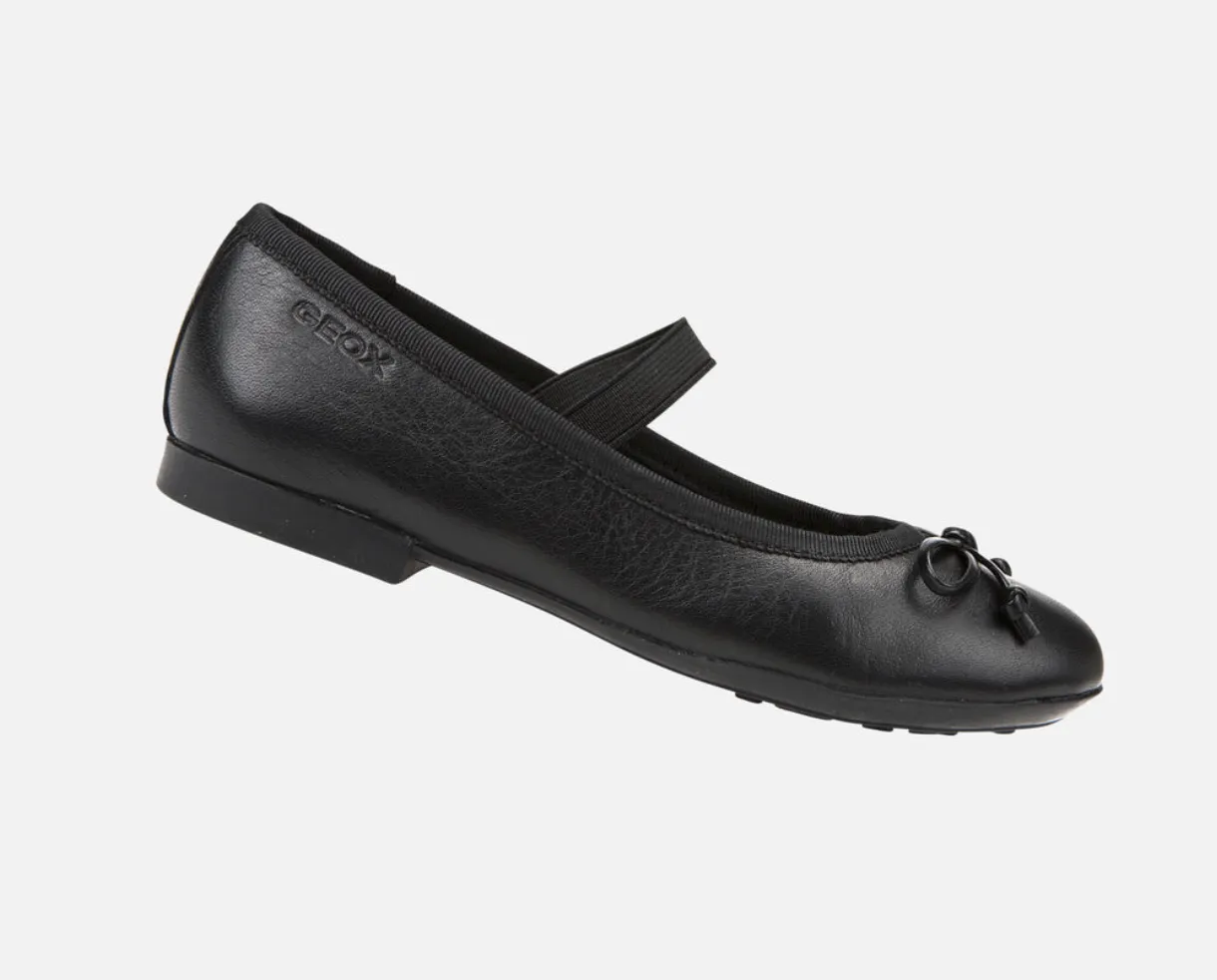 Geox - Ballerina Plie - Black