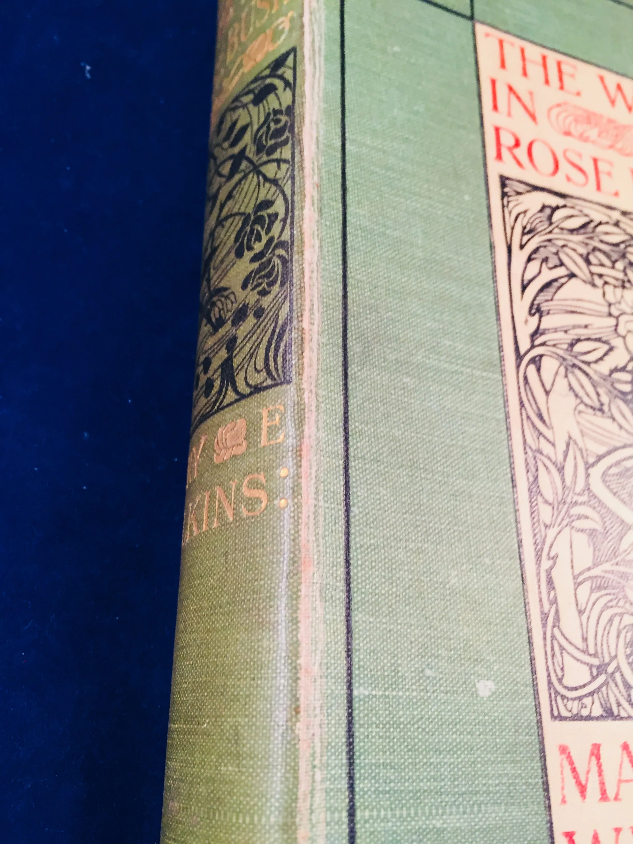 Mary E. Wilkins - The Wind In The Rose-Bush, John Murray 1903 (English 1st Edition)