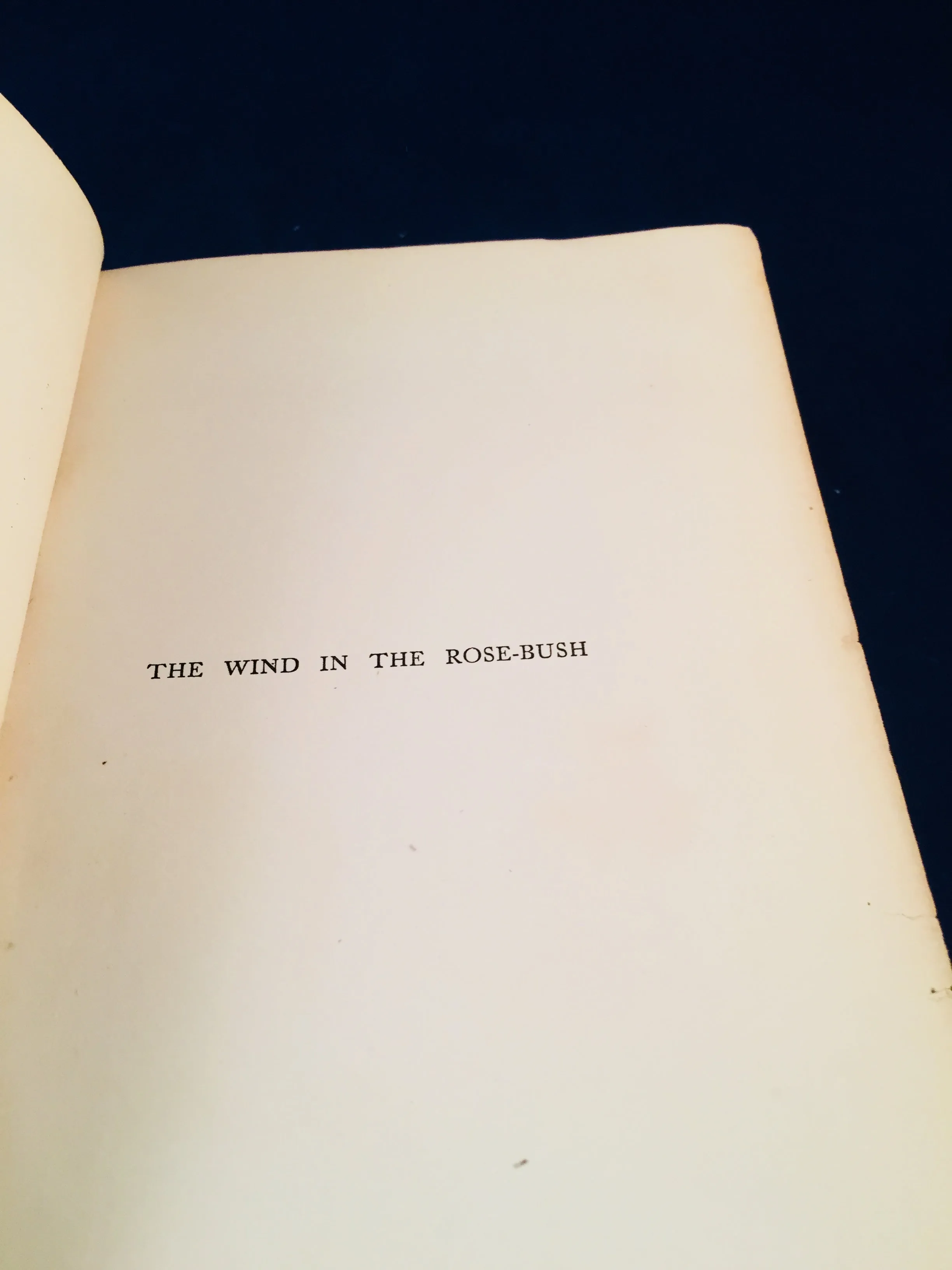 Mary E. Wilkins - The Wind In The Rose-Bush, John Murray 1903 (English 1st Edition)