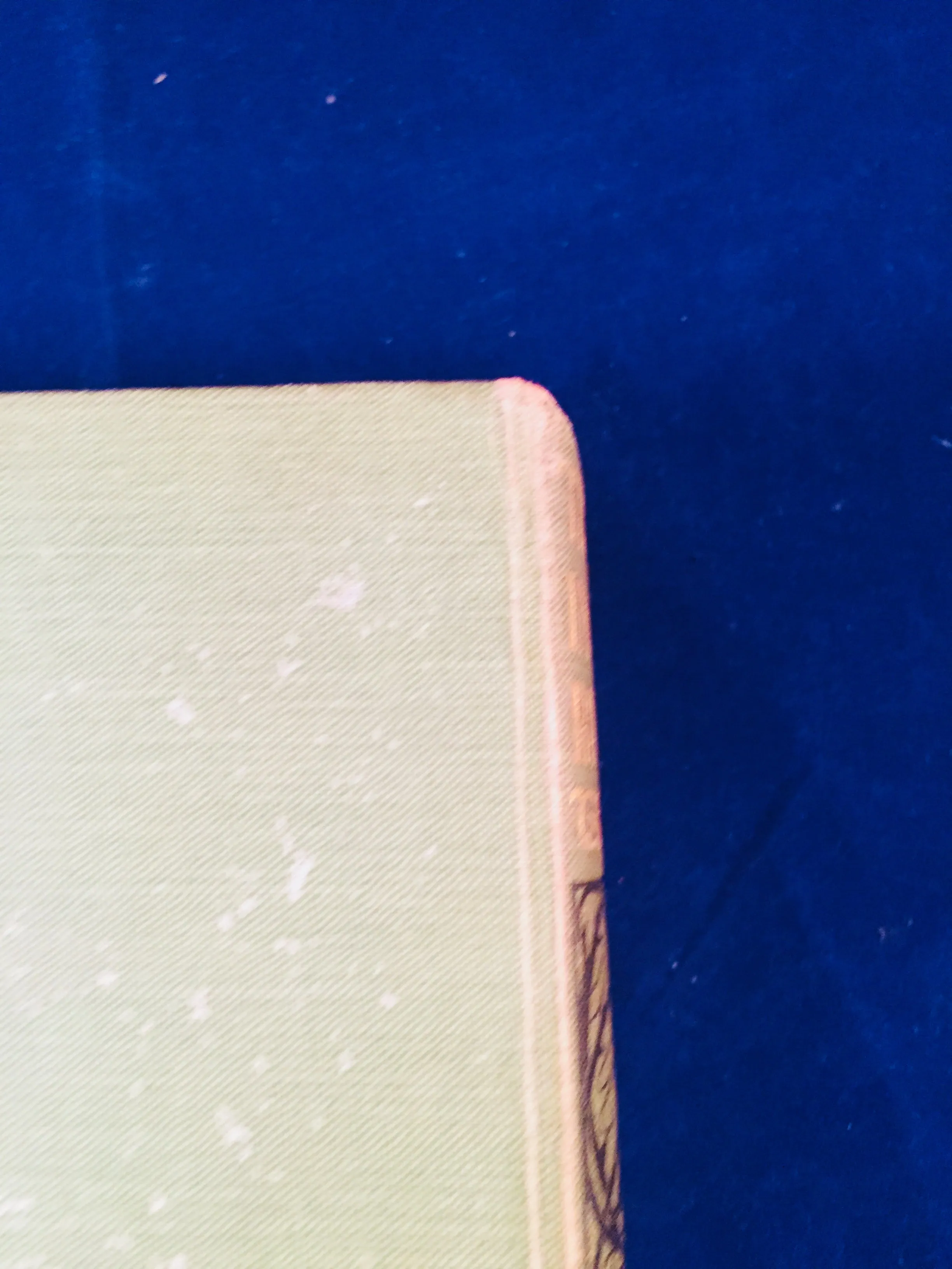 Mary E. Wilkins - The Wind In The Rose-Bush, John Murray 1903 (English 1st Edition)