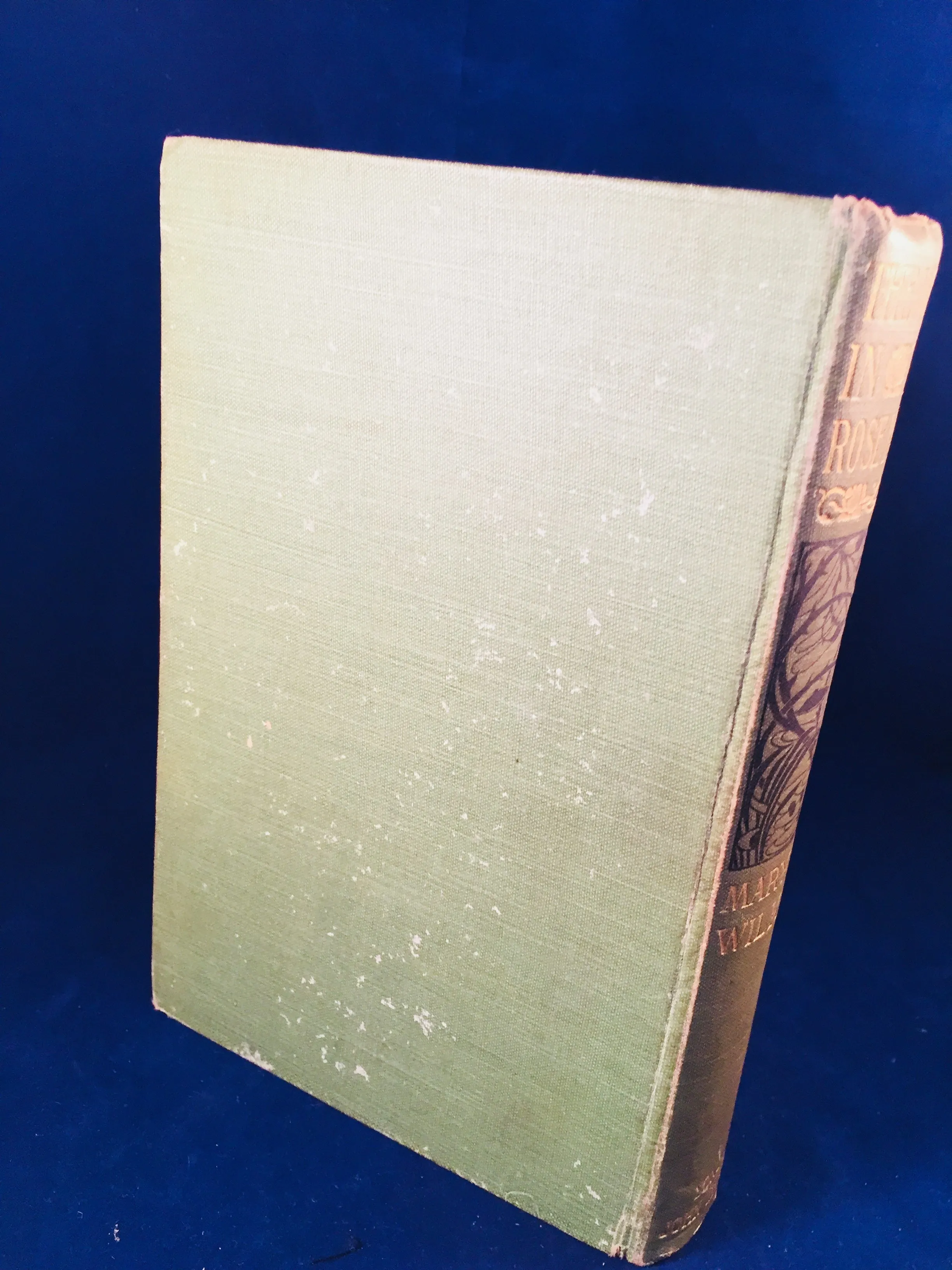 Mary E. Wilkins - The Wind In The Rose-Bush, John Murray 1903 (English 1st Edition)