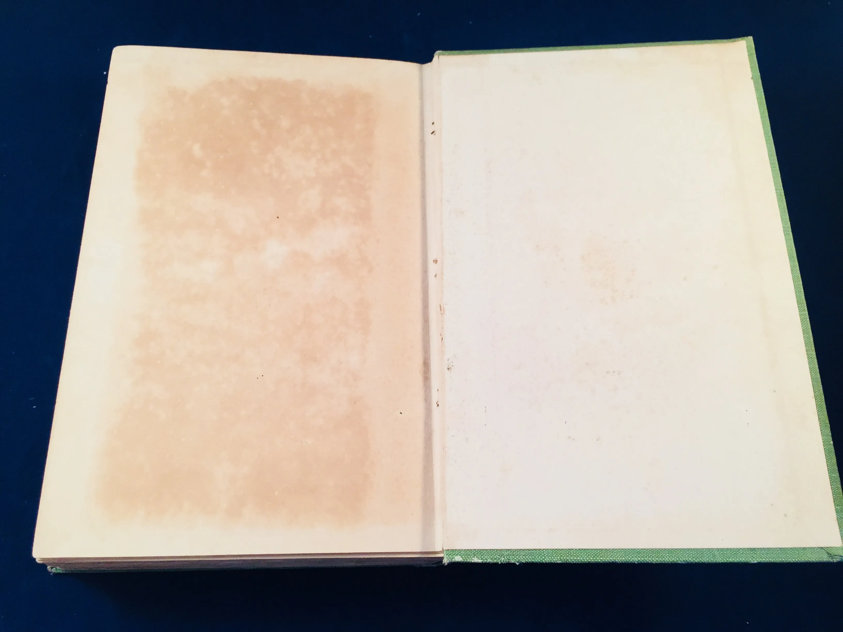 Mary E. Wilkins - The Wind In The Rose-Bush, John Murray 1903 (English 1st Edition)