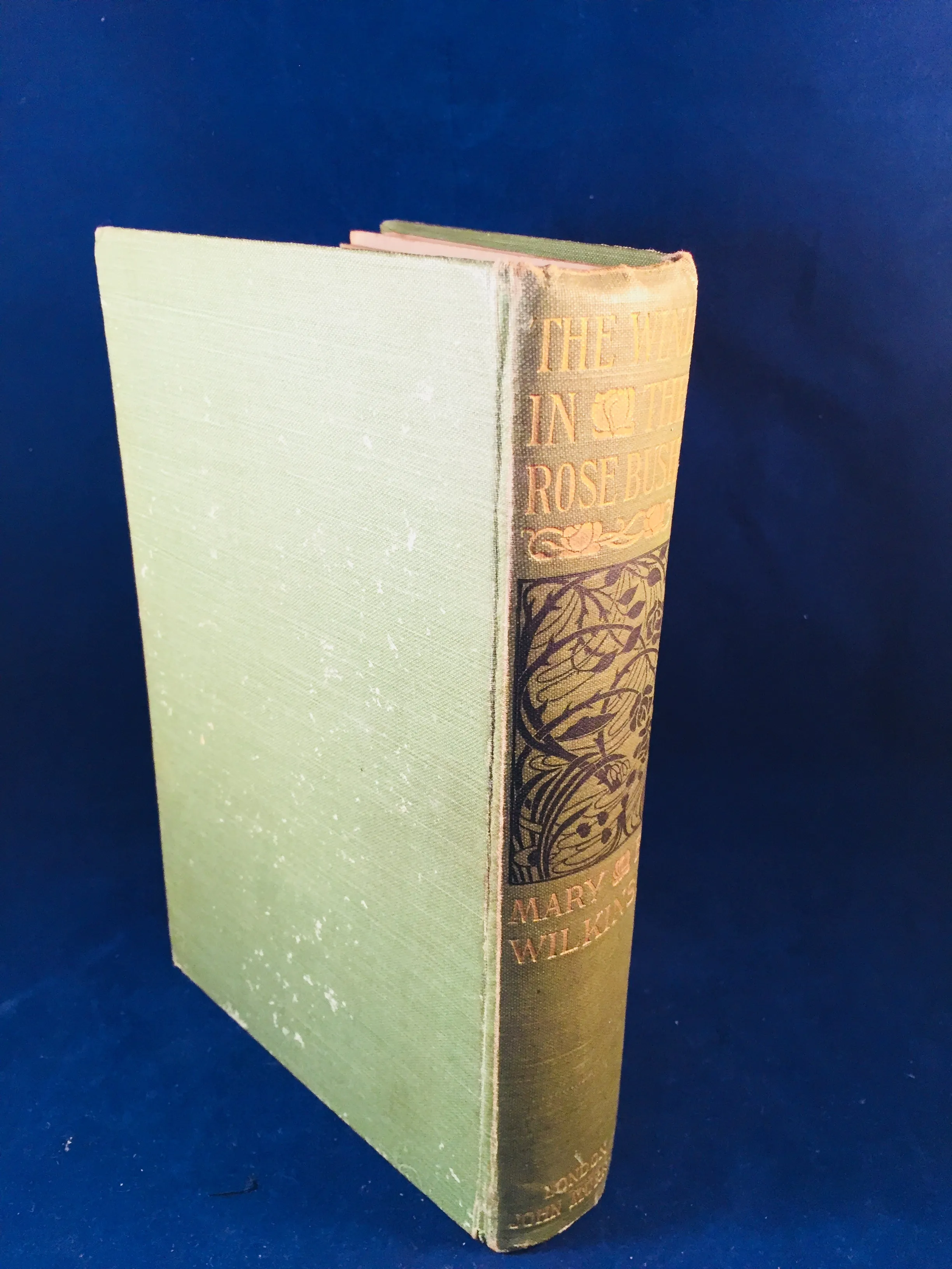 Mary E. Wilkins - The Wind In The Rose-Bush, John Murray 1903 (English 1st Edition)