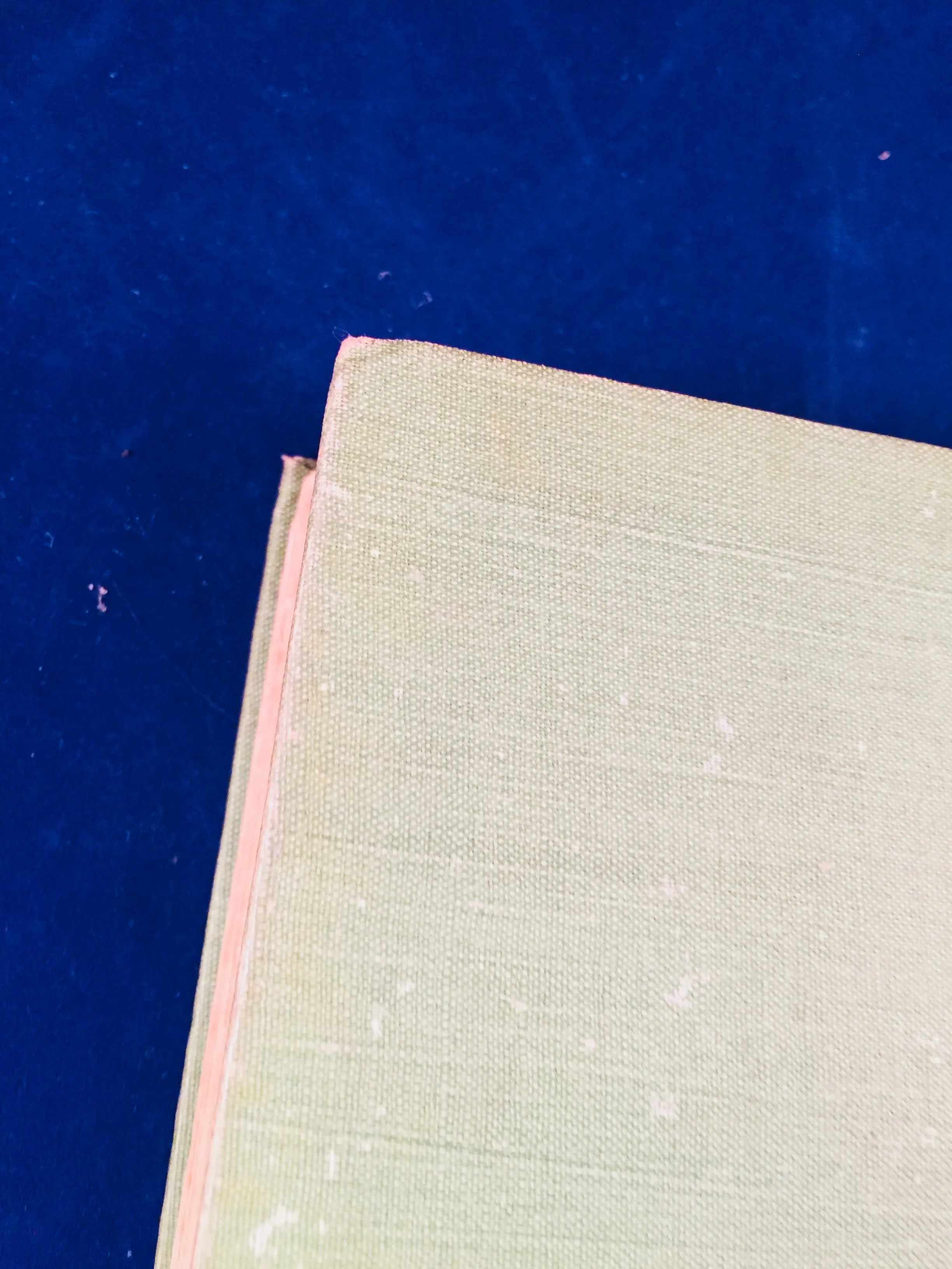 Mary E. Wilkins - The Wind In The Rose-Bush, John Murray 1903 (English 1st Edition)