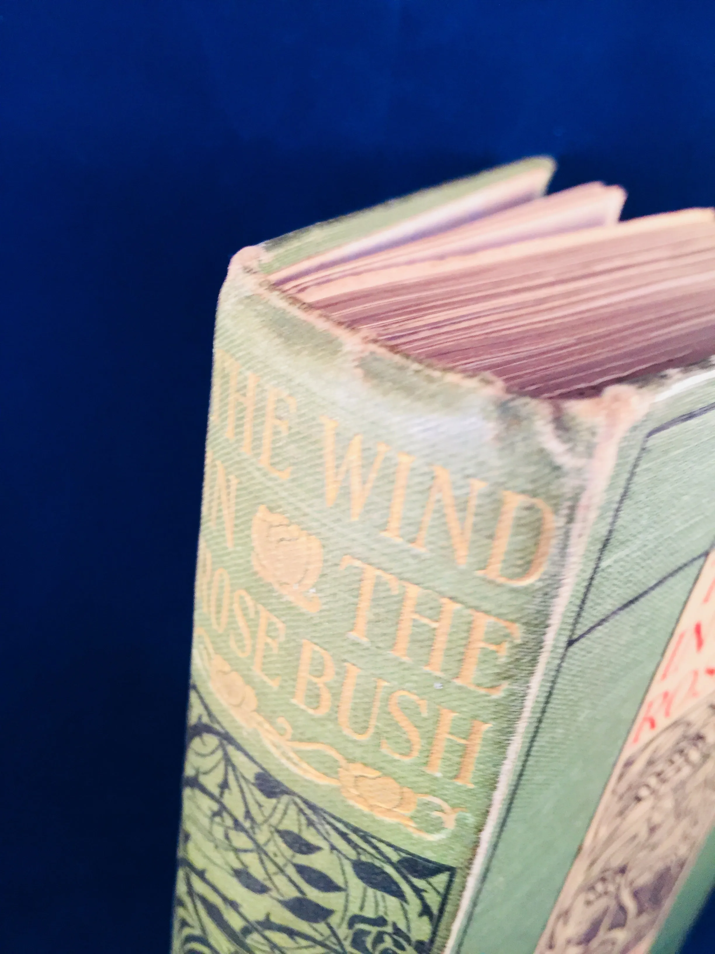 Mary E. Wilkins - The Wind In The Rose-Bush, John Murray 1903 (English 1st Edition)