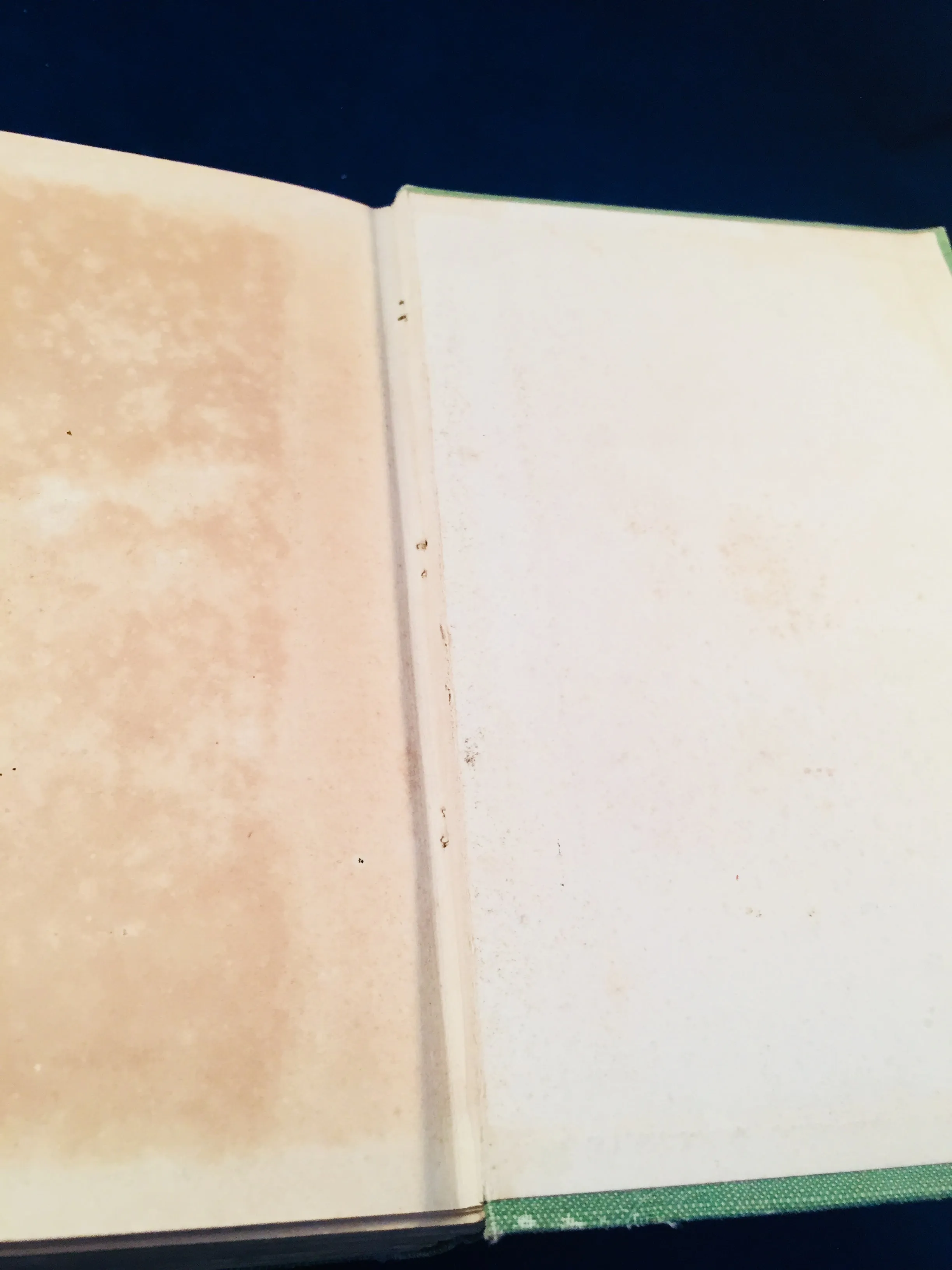 Mary E. Wilkins - The Wind In The Rose-Bush, John Murray 1903 (English 1st Edition)