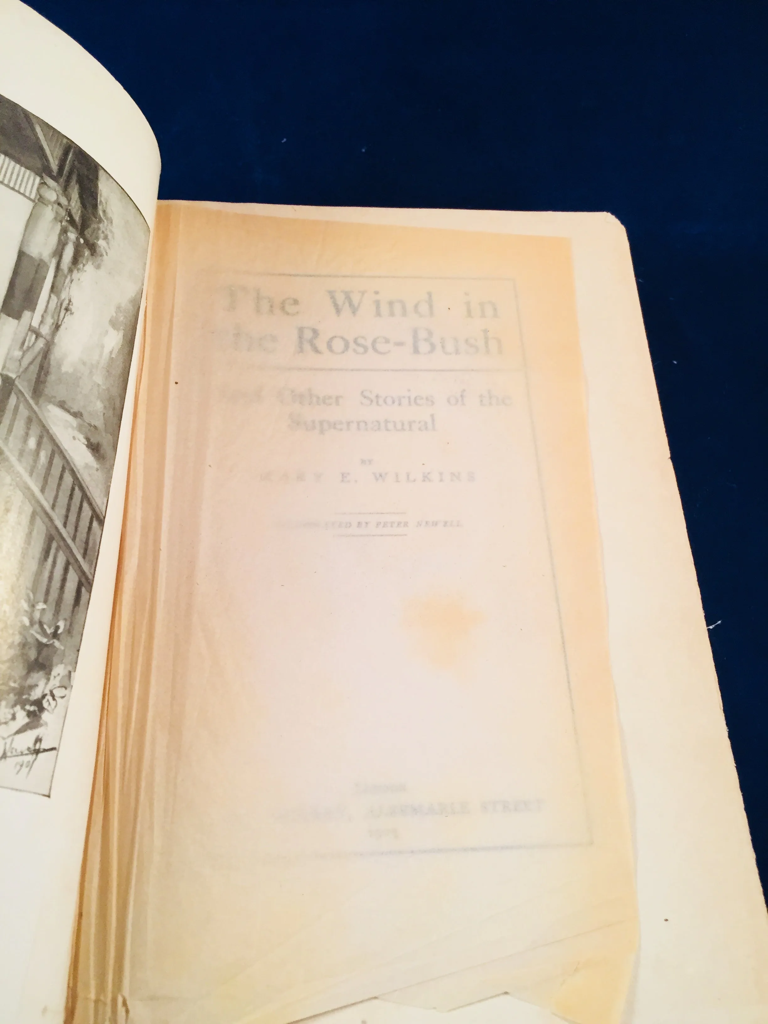 Mary E. Wilkins - The Wind In The Rose-Bush, John Murray 1903 (English 1st Edition)