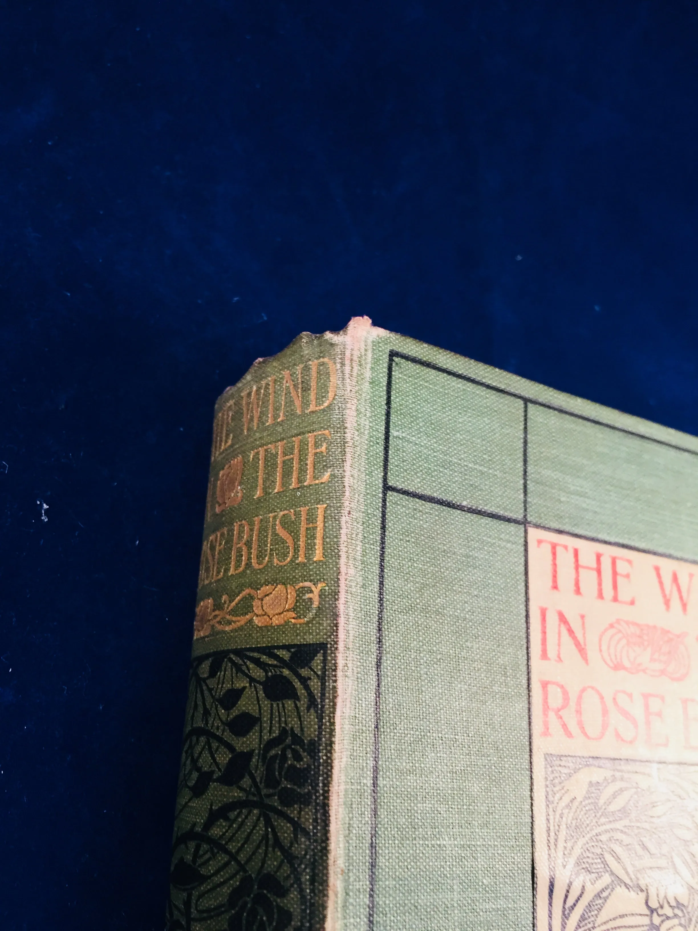 Mary E. Wilkins - The Wind In The Rose-Bush, John Murray 1903 (English 1st Edition)