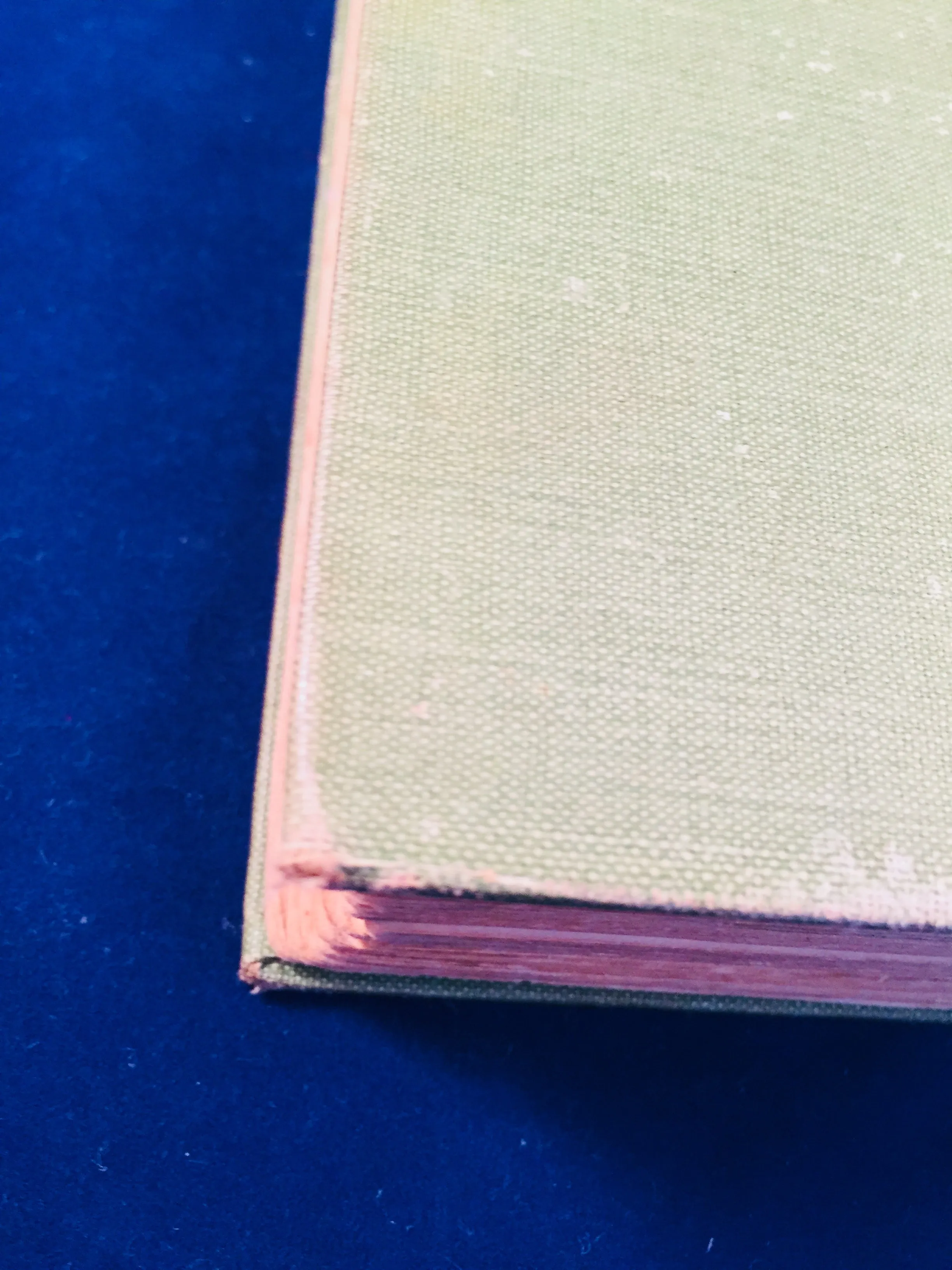 Mary E. Wilkins - The Wind In The Rose-Bush, John Murray 1903 (English 1st Edition)