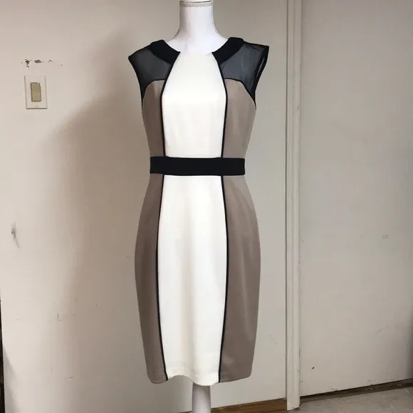 NWT neutral color block and mesh dress-so classy!