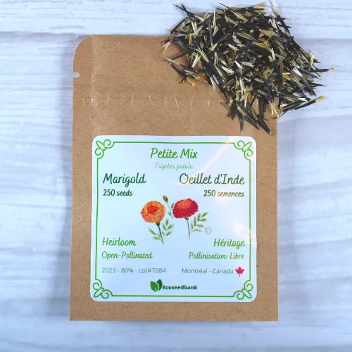Petite Mix Marigold Seeds