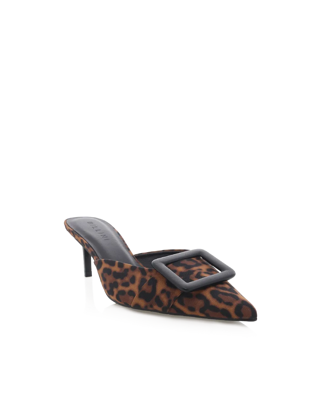 YORKIE - LEOPARD
