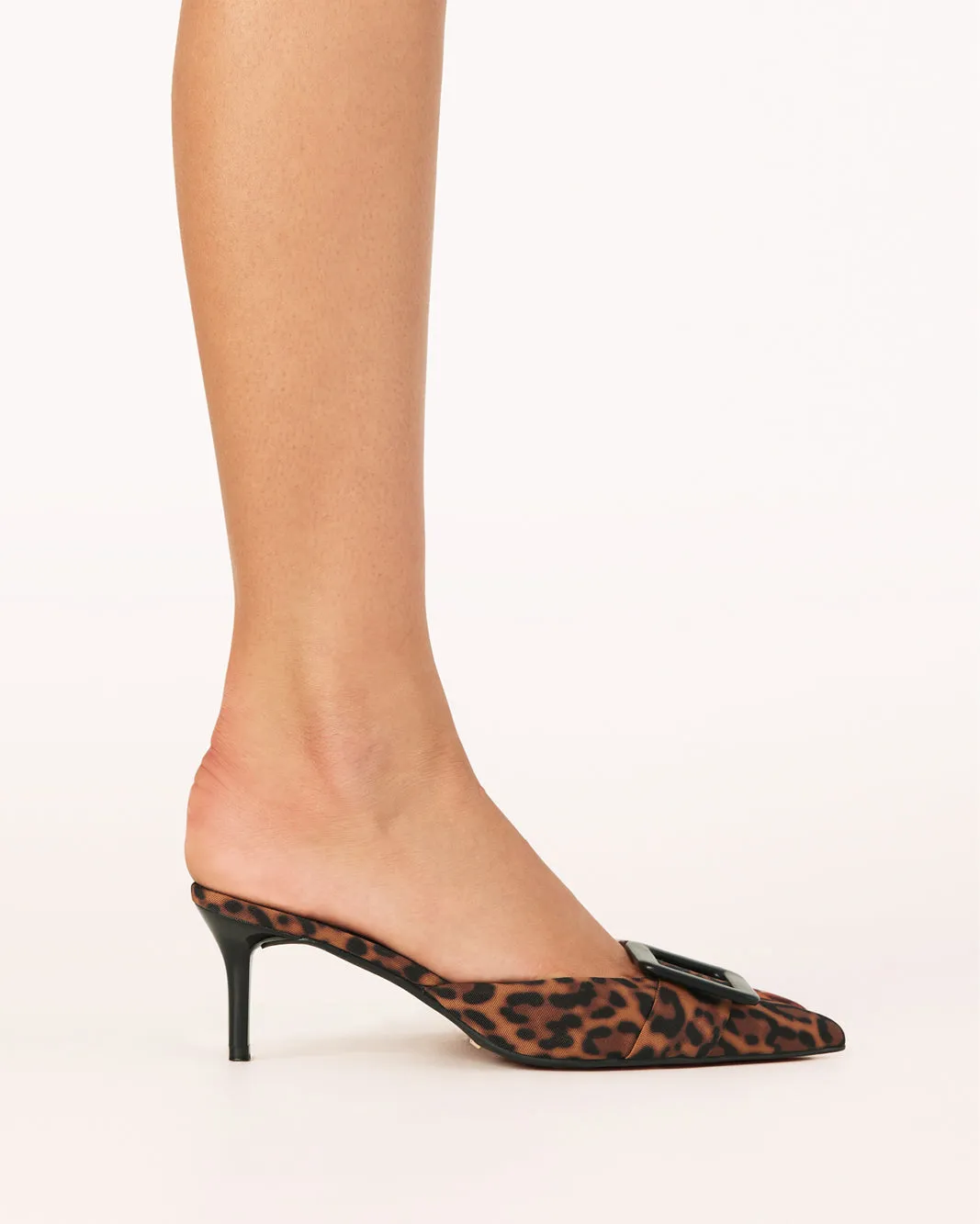 YORKIE - LEOPARD